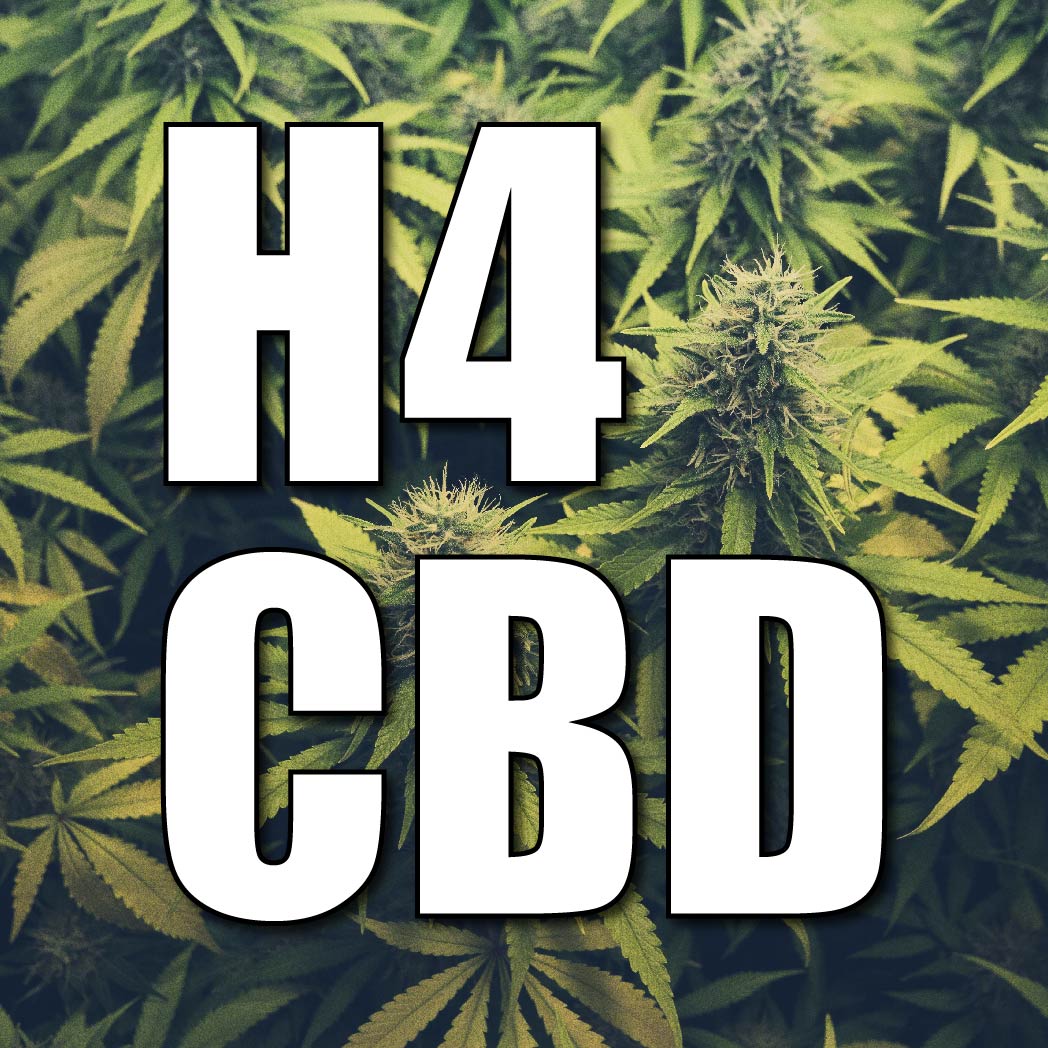 What is H4 CBD? Is H4 CBD Legal UK? Everything you need to know about H4 CBD legality in the UK