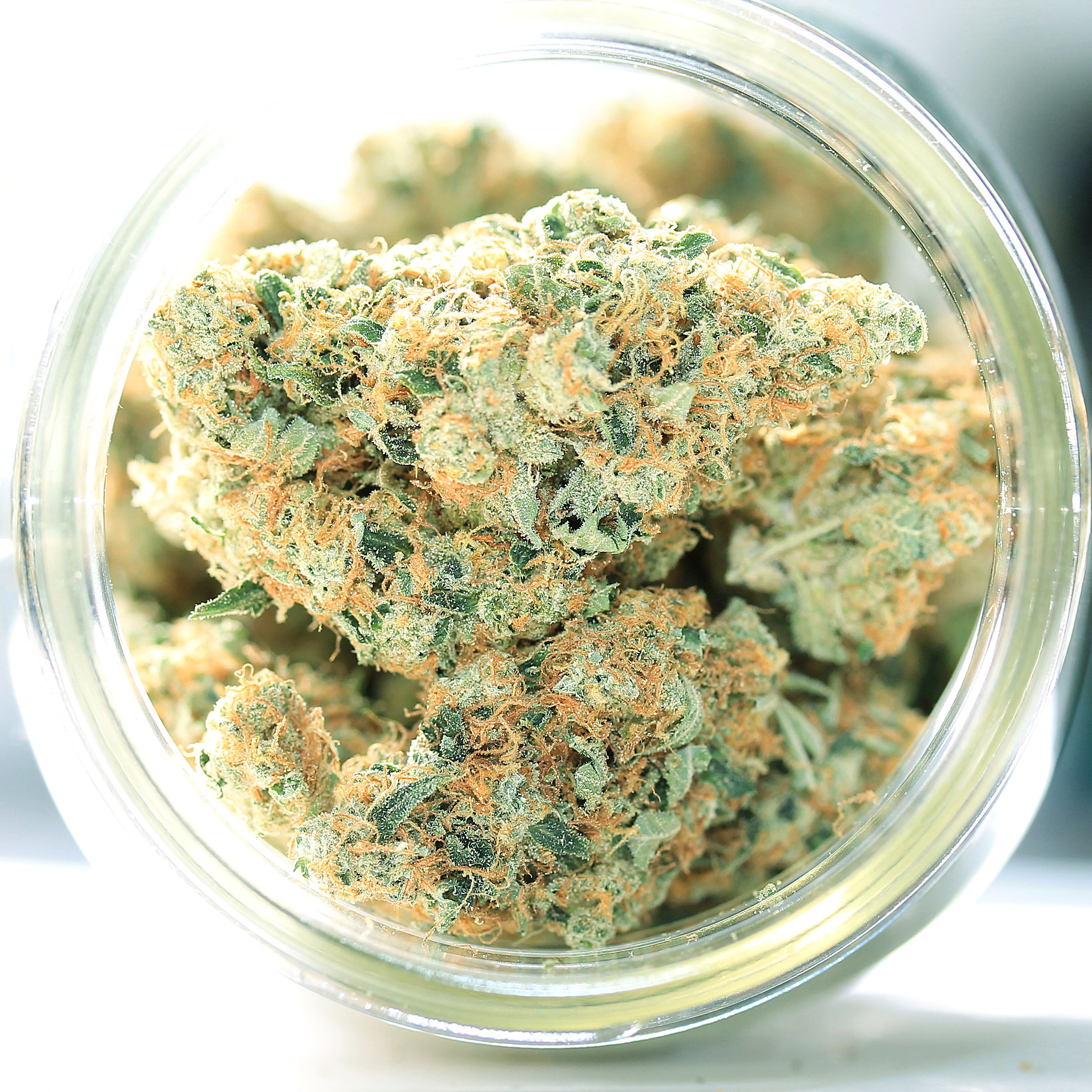 Premium Flower