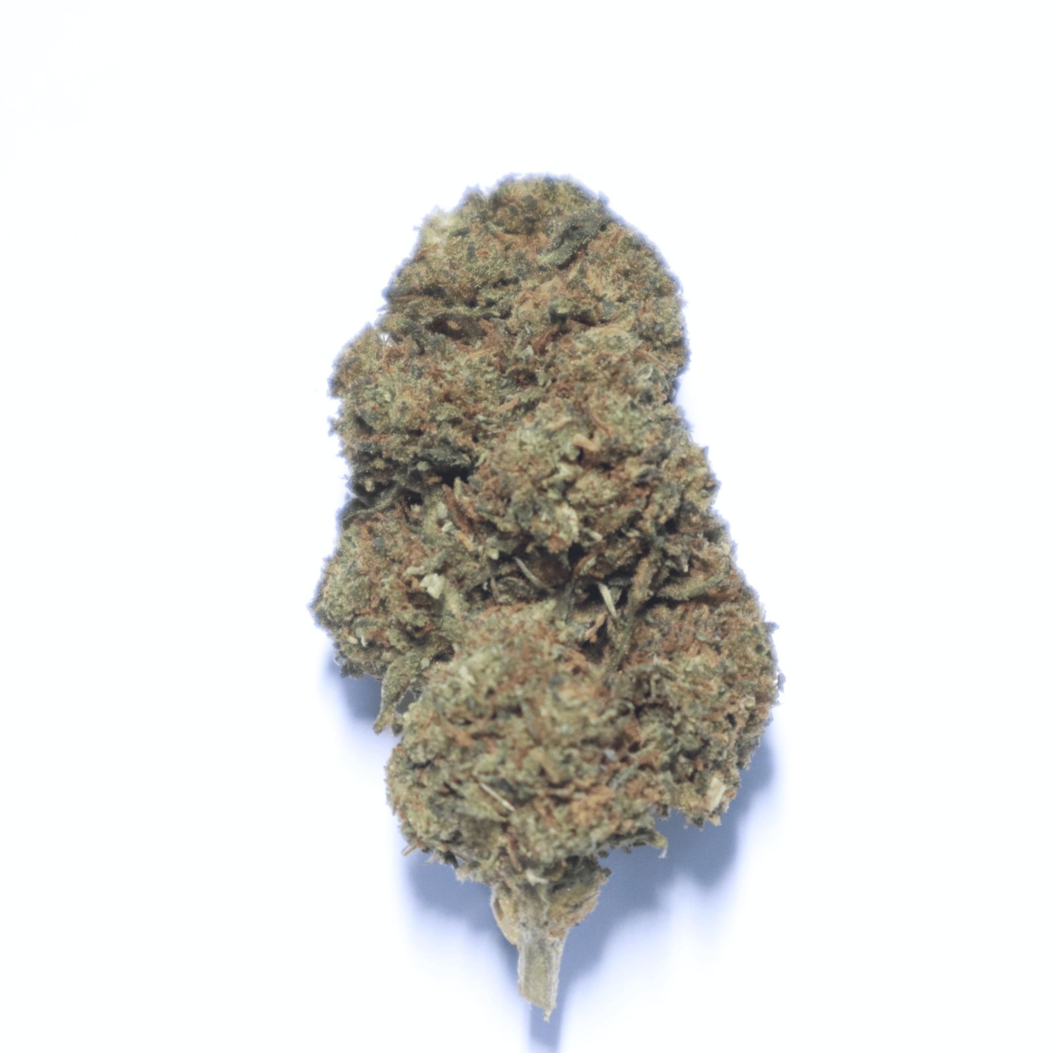 Alien Rock Candy 29% CBD Flower