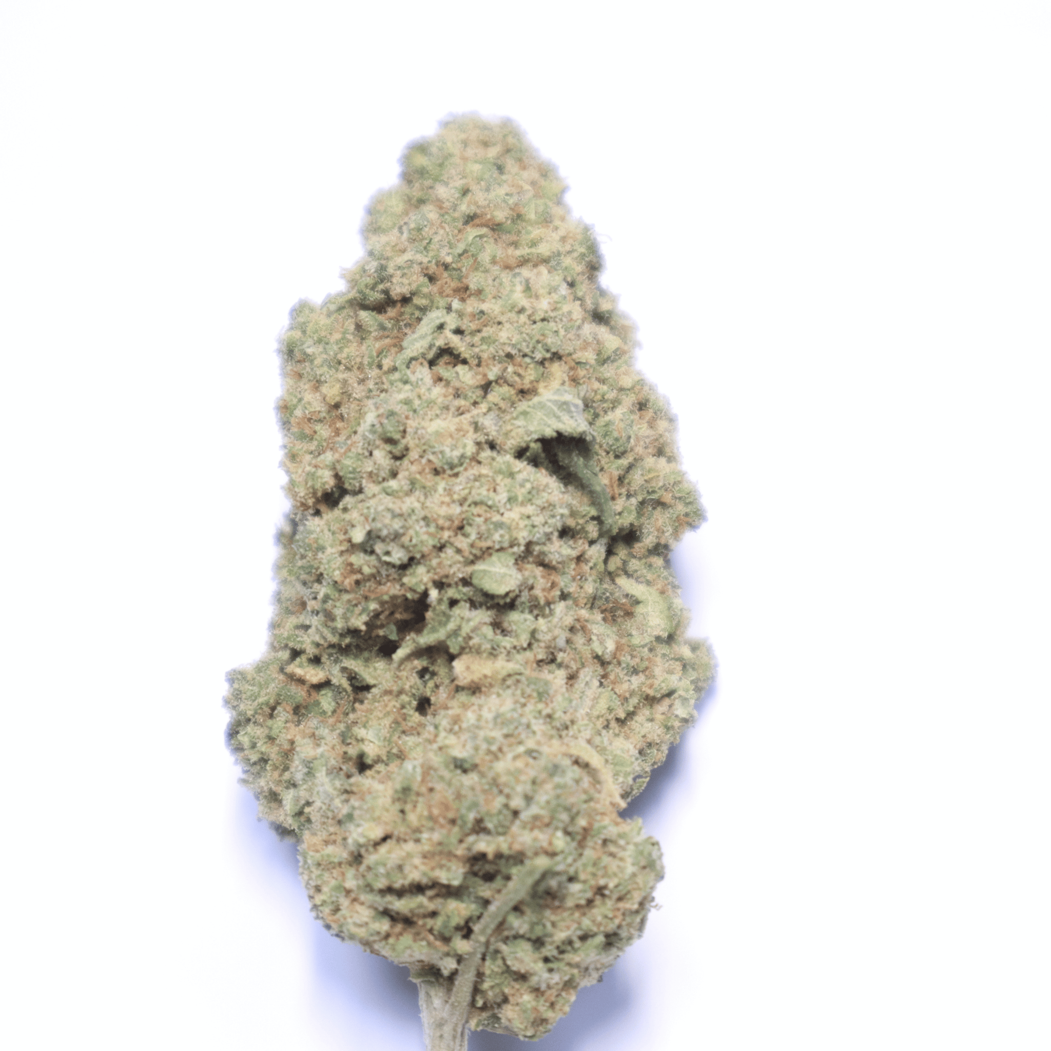 Platinum Mint Sorbet 30% CBD Flower