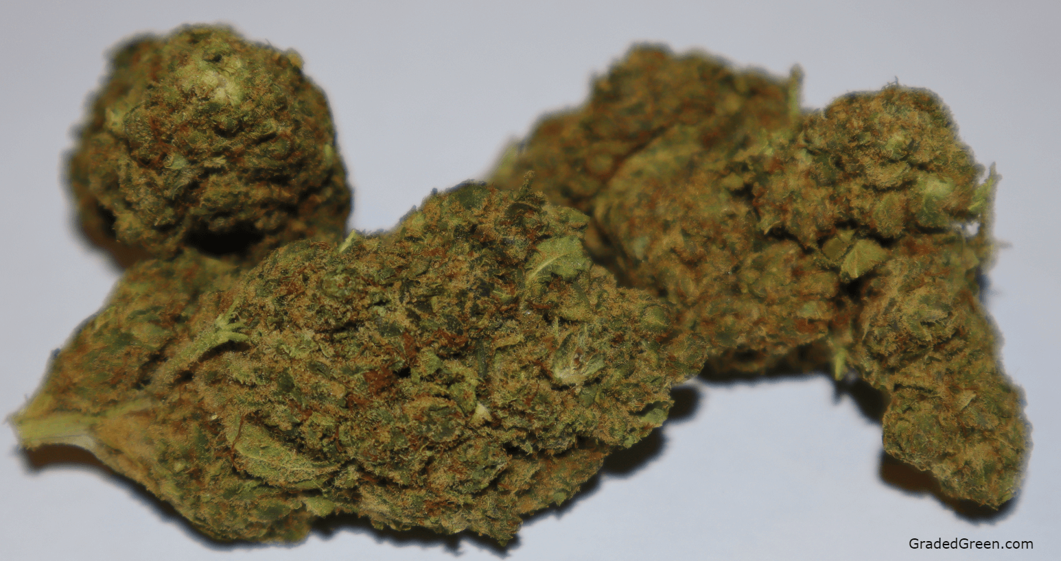 Gelato Cake 27% CBD Flower