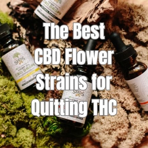 CBD Flower Strains for Quitting THC: Finding the Right Fit