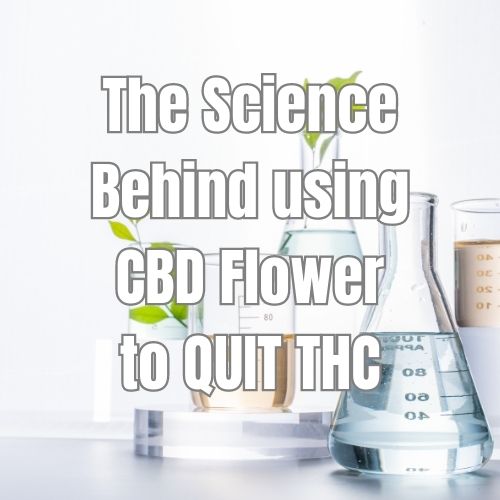 Use_CBD_Flower_to_quit_THC