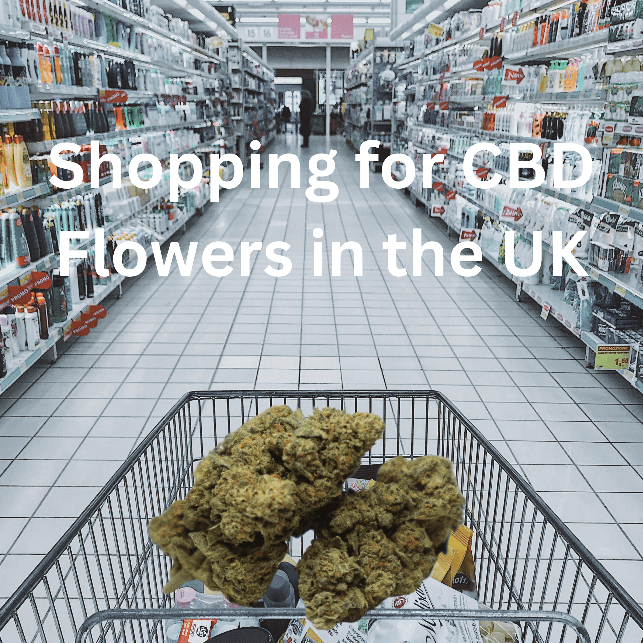 Buying CBD Flowers in the UK? Here's everything you should know in 2023.