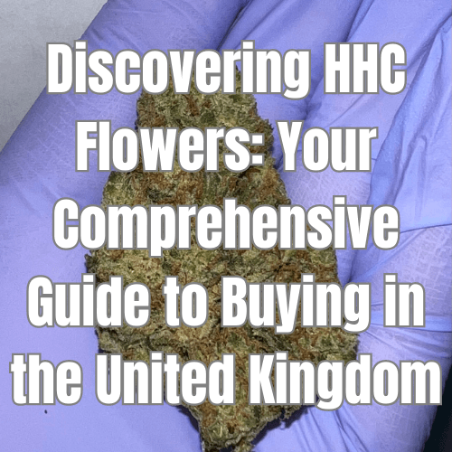 Discovering HHC Flowers: Your Comprehensive Guide to Buying in the United Kingdom