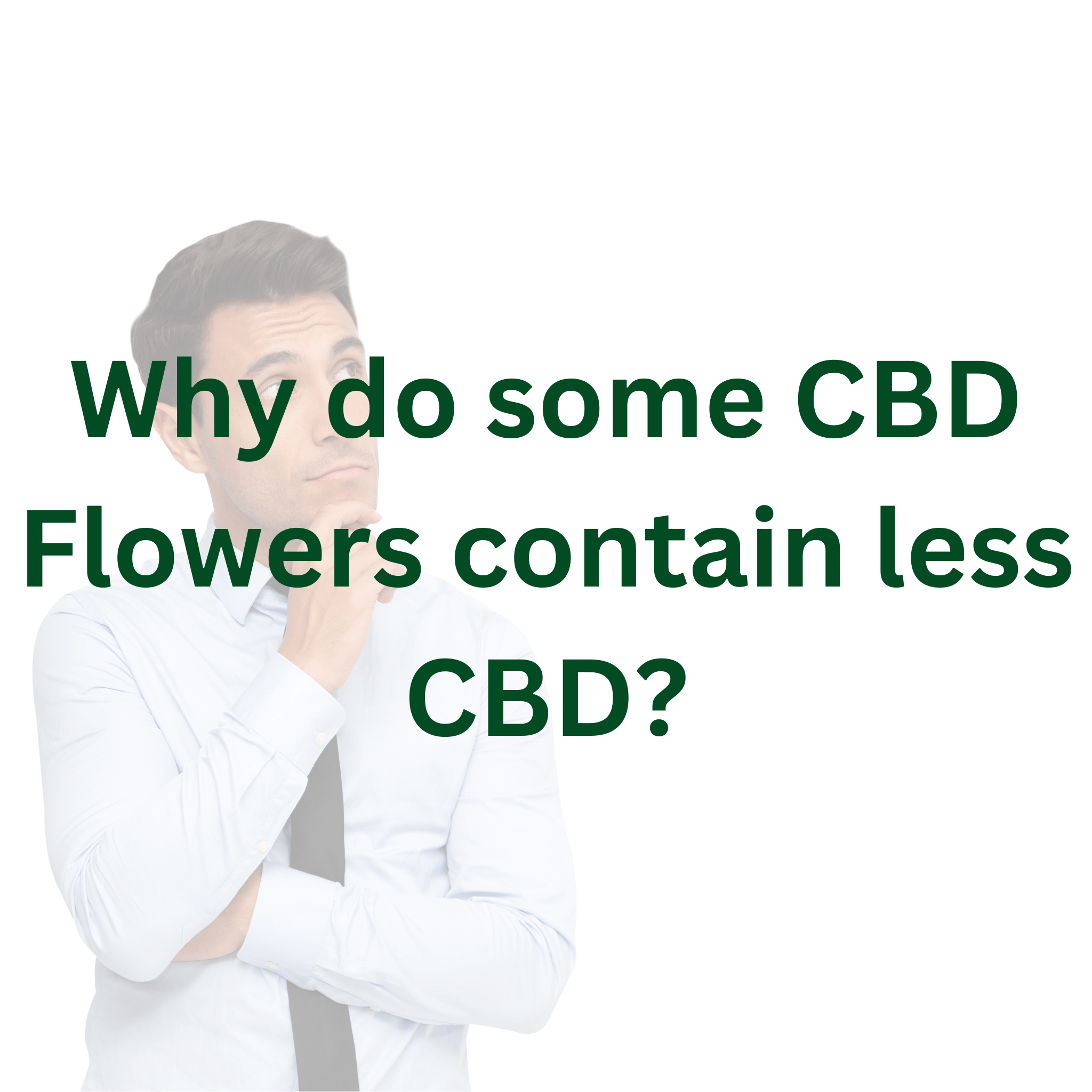 Why do some CBD Flowers contain less CBD?