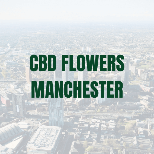 Where to buy CBD Flowers in Manchester? | Your ultimate 2023 guide