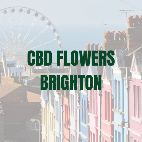 Where to buy CBD Flowers in Brighton