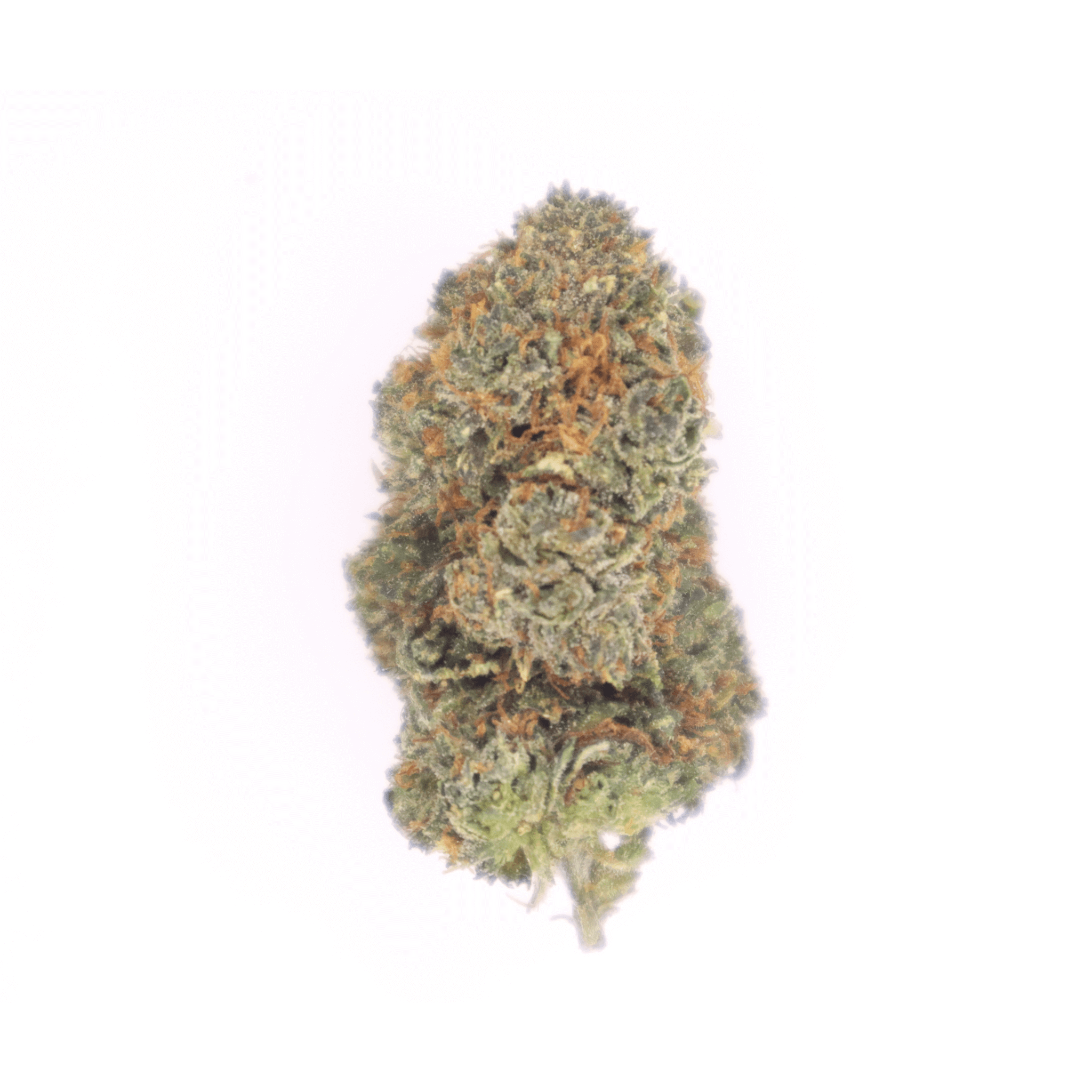 High-quality HHC flowers grown and sold in the UK. These cannabis flowers have been carefully cultivated to produce potent and flavorful buds, perfect for those looking for a premium HHC experience.