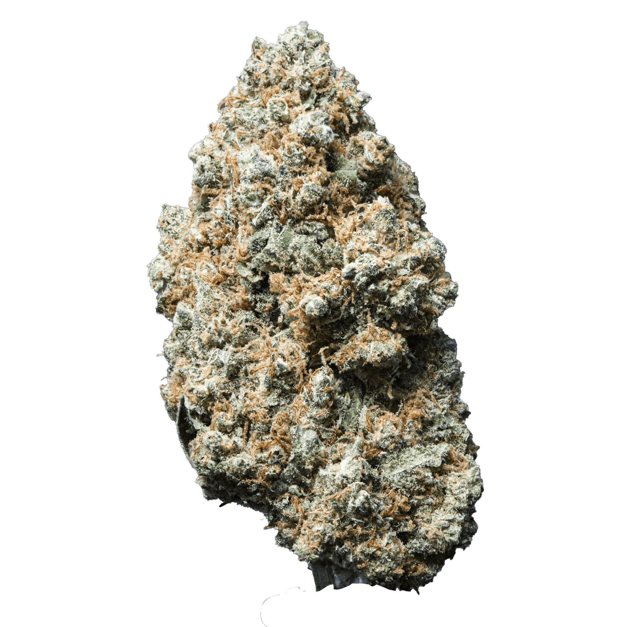 Frosty Gelato 28% CBD Flower (Limited Edition)