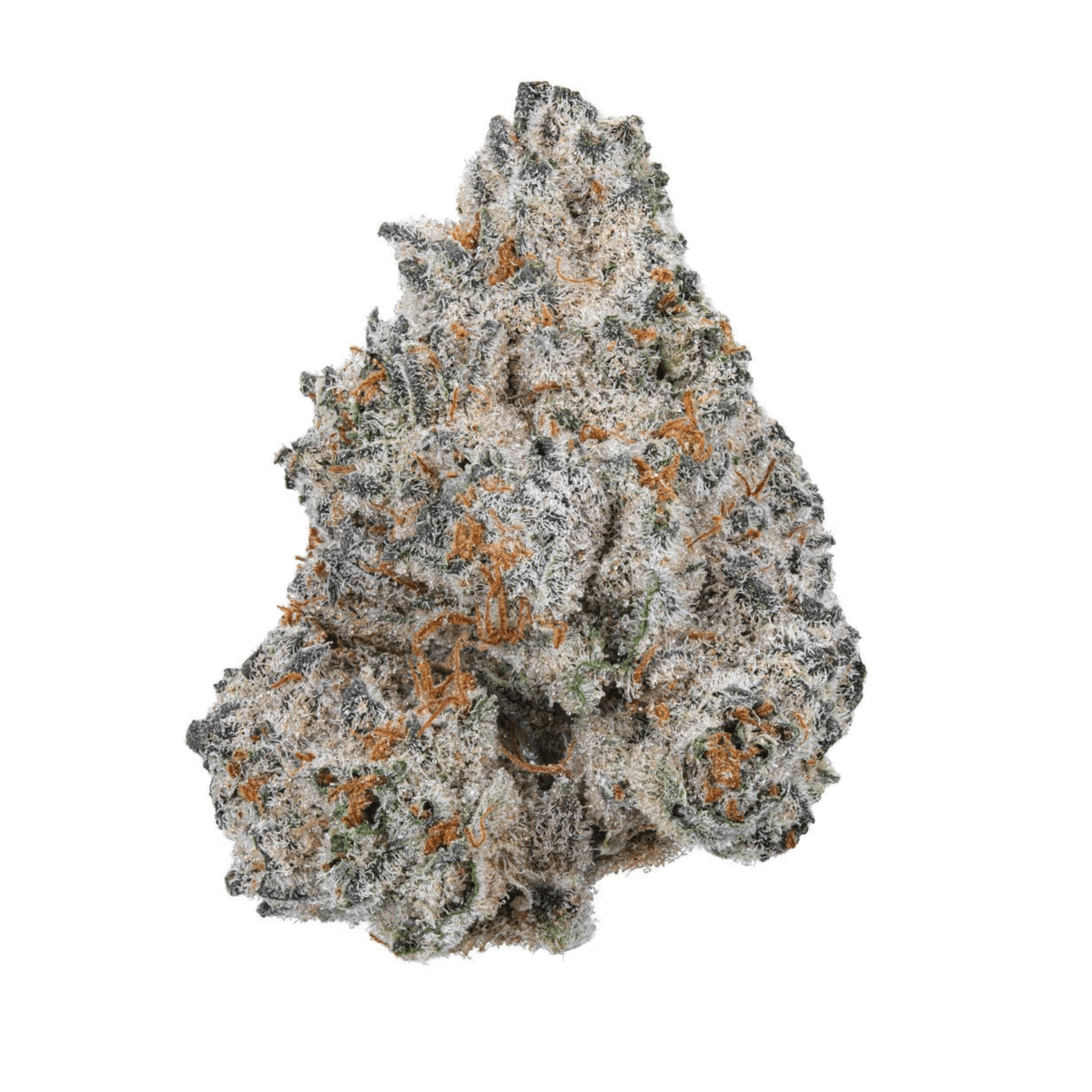 White Truffle 27% THC-A Flower